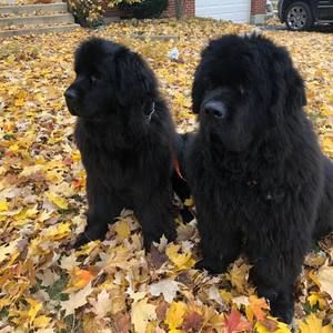 Meet your Posher, Leigh